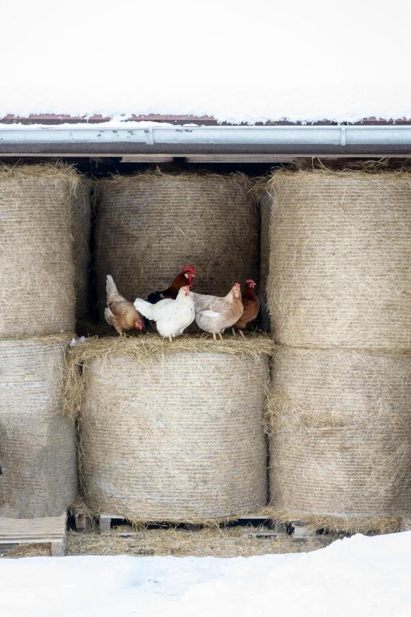 Вілла Agroturistika - "Domecek U Ovecek" Horni Terlicko Екстер'єр фото