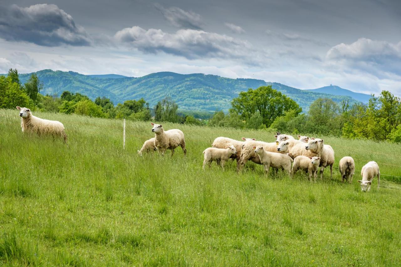 Вілла Agroturistika - "Domecek U Ovecek" Horni Terlicko Екстер'єр фото