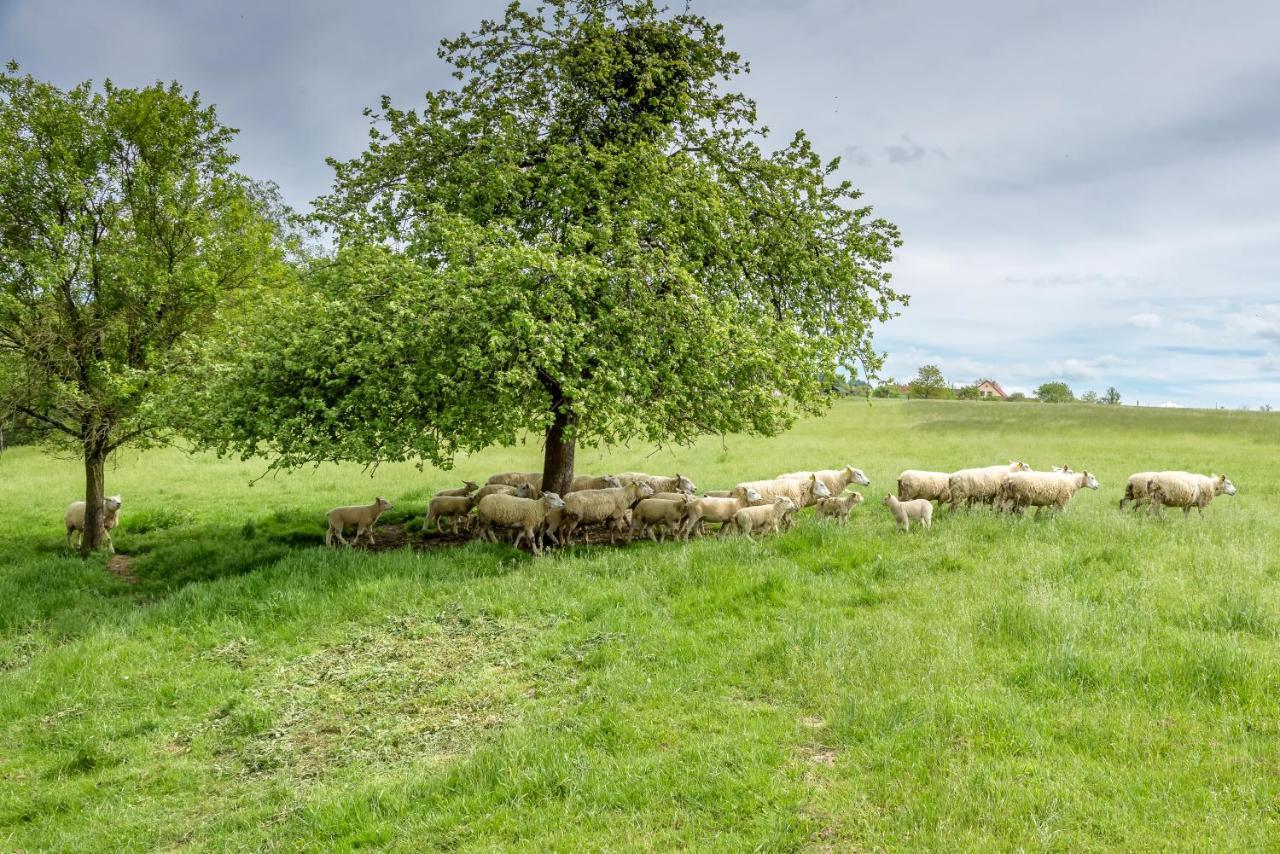 Вілла Agroturistika - "Domecek U Ovecek" Horni Terlicko Екстер'єр фото