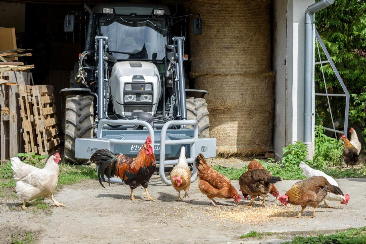 Вілла Agroturistika - "Domecek U Ovecek" Horni Terlicko Екстер'єр фото