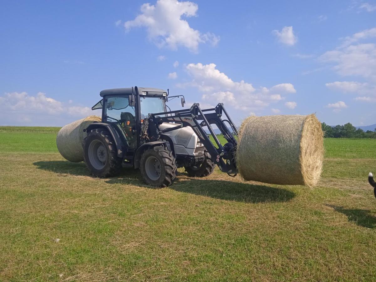 Вілла Agroturistika - "Domecek U Ovecek" Horni Terlicko Екстер'єр фото